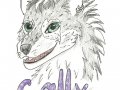 Cally0001.jpg